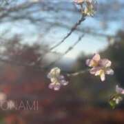 ヒメ日記 2026/03/25 14:14 投稿 ほなみ 奥様電車