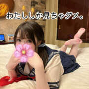 ヒメ日記 2025/06/13 03:42 投稿 ゆず 川越ぽちゃまに