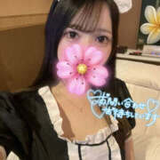 ヒメ日記 2025/08/27 00:32 投稿 ゆず 川越ぽちゃまに