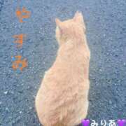 ヒメ日記 2025/09/24 12:44 投稿 みりあ 蒼いうさぎ