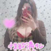 ヒメ日記 2026/02/21 13:34 投稿 みりあ 蒼いうさぎ