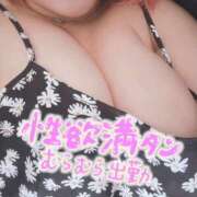 ヒメ日記 2026/07/24 14:16 投稿 みりあ 蒼いうさぎ
