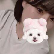 ヒメ日記 2025/06/25 14:22 投稿 しるく 横浜・関内サンキュー