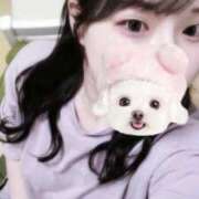 ヒメ日記 2025/07/20 23:22 投稿 しるく 横浜・関内サンキュー