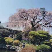 しるく 本日💤 横浜・関内サンキュー