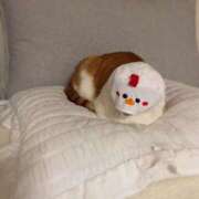 ヒメ日記 2025/10/23 22:49 投稿 愛菜　まな 本庄人妻城