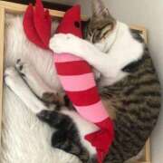 ヒメ日記 2025/11/08 11:46 投稿 愛菜　まな 本庄人妻城