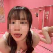 ヒメ日記 2025/07/15 06:16 投稿 レモン チューリップ福井本館