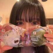 ヒメ日記 2025/08/19 07:24 投稿 レモン チューリップ福井本館