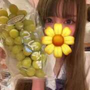 ヒメ日記 2025/09/26 17:04 投稿 レモン チューリップ福井本館