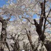 ヒメ日記 2026/04/26 20:57 投稿 きらり SOAPLAND LOVE FACTORY