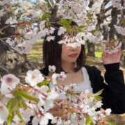 ヒメ日記 2026/05/05 15:48 投稿 きらり SOAPLAND LOVE FACTORY