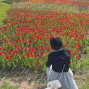 ヒメ日記 2026/05/19 10:02 投稿 きらり SOAPLAND LOVE FACTORY