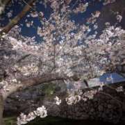 ヒメ日記 2026/03/31 23:31 投稿 《体験》みづき【ドエロ妻】 フィーリング