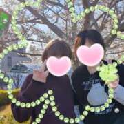 ヒメ日記 2026/04/05 20:21 投稿 《体験》みづき【ドエロ妻】 フィーリング