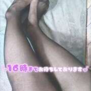 ヒメ日記 2025/08/04 11:10 投稿 むつき ゴールドフィンガー