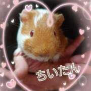 ヒメ日記 2026/02/14 04:32 投稿 まる 鶯谷デリヘル倶楽部