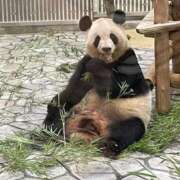 ヒメ日記 2025/06/27 19:52 投稿 美姫（みき） PLUS難波店