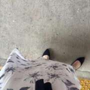 ヒメ日記 2025/07/14 10:34 投稿 美姫（みき） PLUS難波店