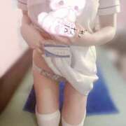 ヒメ日記 2025/06/12 09:53 投稿 うさぎ 横浜しこたまクリニック