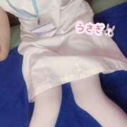 ヒメ日記 2025/06/13 12:07 投稿 うさぎ 横浜しこたまクリニック