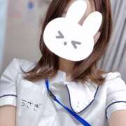 ヒメ日記 2025/06/13 20:45 投稿 うさぎ 横浜しこたまクリニック