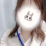 ヒメ日記 2025/06/15 12:06 投稿 うさぎ 横浜しこたまクリニック