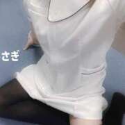 ヒメ日記 2025/06/26 17:03 投稿 うさぎ 横浜しこたまクリニック