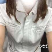 ヒメ日記 2025/06/28 12:53 投稿 うさぎ 横浜しこたまクリニック