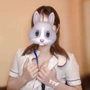 ヒメ日記 2025/06/30 23:03 投稿 うさぎ 横浜しこたまクリニック