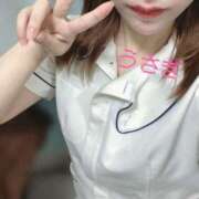 ヒメ日記 2025/07/08 17:09 投稿 うさぎ 横浜しこたまクリニック