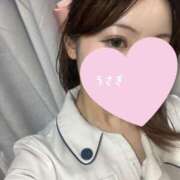 ヒメ日記 2025/07/09 18:53 投稿 うさぎ 横浜しこたまクリニック