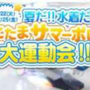 ヒメ日記 2025/07/21 18:13 投稿 うさぎ 横浜しこたまクリニック
