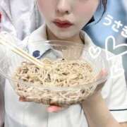 ヒメ日記 2025/07/28 22:23 投稿 うさぎ 横浜しこたまクリニック