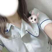 ヒメ日記 2025/08/07 17:33 投稿 うさぎ 横浜しこたまクリニック