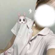 うさぎ 暑いけど 横浜しこたまクリニック