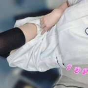 うさぎ 8/19🐰痴療きろく 横浜しこたまクリニック