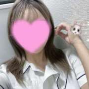 うさぎ 最近💭 横浜しこたまクリニック