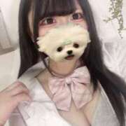 ヒメ日記 2025/06/11 11:23 投稿 みな 秋葉原コスプレ学園in西川口