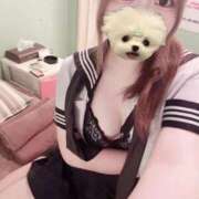 ヒメ日記 2025/06/13 07:33 投稿 みな 秋葉原コスプレ学園in西川口