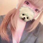 ヒメ日記 2025/06/20 09:52 投稿 みな 秋葉原コスプレ学園in西川口