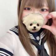 ヒメ日記 2025/07/02 11:16 投稿 みな 秋葉原コスプレ学園in西川口