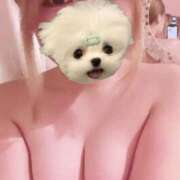 ヒメ日記 2025/07/02 17:49 投稿 みな 秋葉原コスプレ学園in西川口