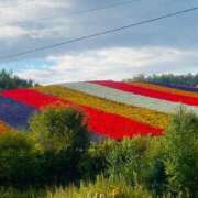 ヒメ日記 2025/06/26 21:42 投稿 あいか SOAPLAND LOVE FACTORY