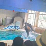 ヒメ日記 2025/07/13 18:22 投稿 あいか SOAPLAND LOVE FACTORY