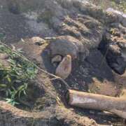 ヒメ日記 2026/01/10 18:12 投稿 あいか SOAPLAND LOVE FACTORY