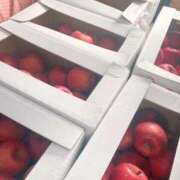 ヒメ日記 2026/01/30 11:22 投稿 あいか SOAPLAND LOVE FACTORY