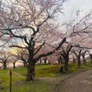 ヒメ日記 2026/02/28 21:35 投稿 あいか SOAPLAND LOVE FACTORY