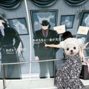 ヒメ日記 2025/06/27 13:52 投稿 とうふ【Kカップの絶対衝撃】 STELLA NEXT－ステラネクスト－