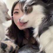 ヒメ日記 2025/09/21 11:20 投稿 とうふ【Kカップの絶対衝撃】 STELLA NEXT－ステラネクスト－